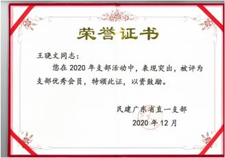 王晓文律师2020年支部活动评为支部优秀委员